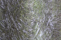 Tanworth In Arden fibreglass roof work